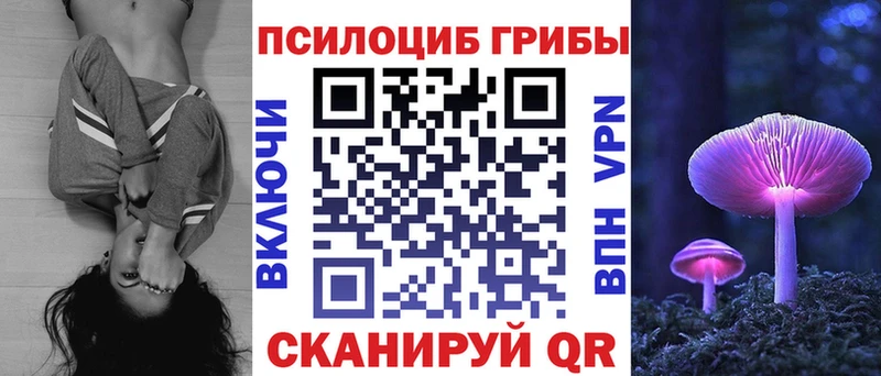 хочу   Хадыженск  Псилоцибиновые грибы Psilocybe 