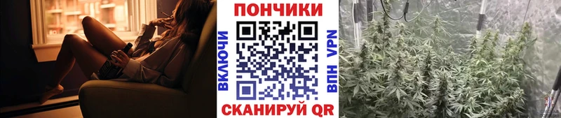 mega ссылка  Хадыженск  Бошки марихуана семена 
